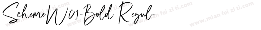SchemeW01-Bold Regul字体转换